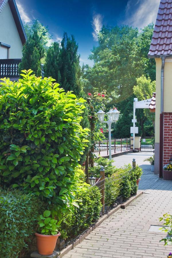 Pension Luisenhof 坦哲蒙 外观 照片